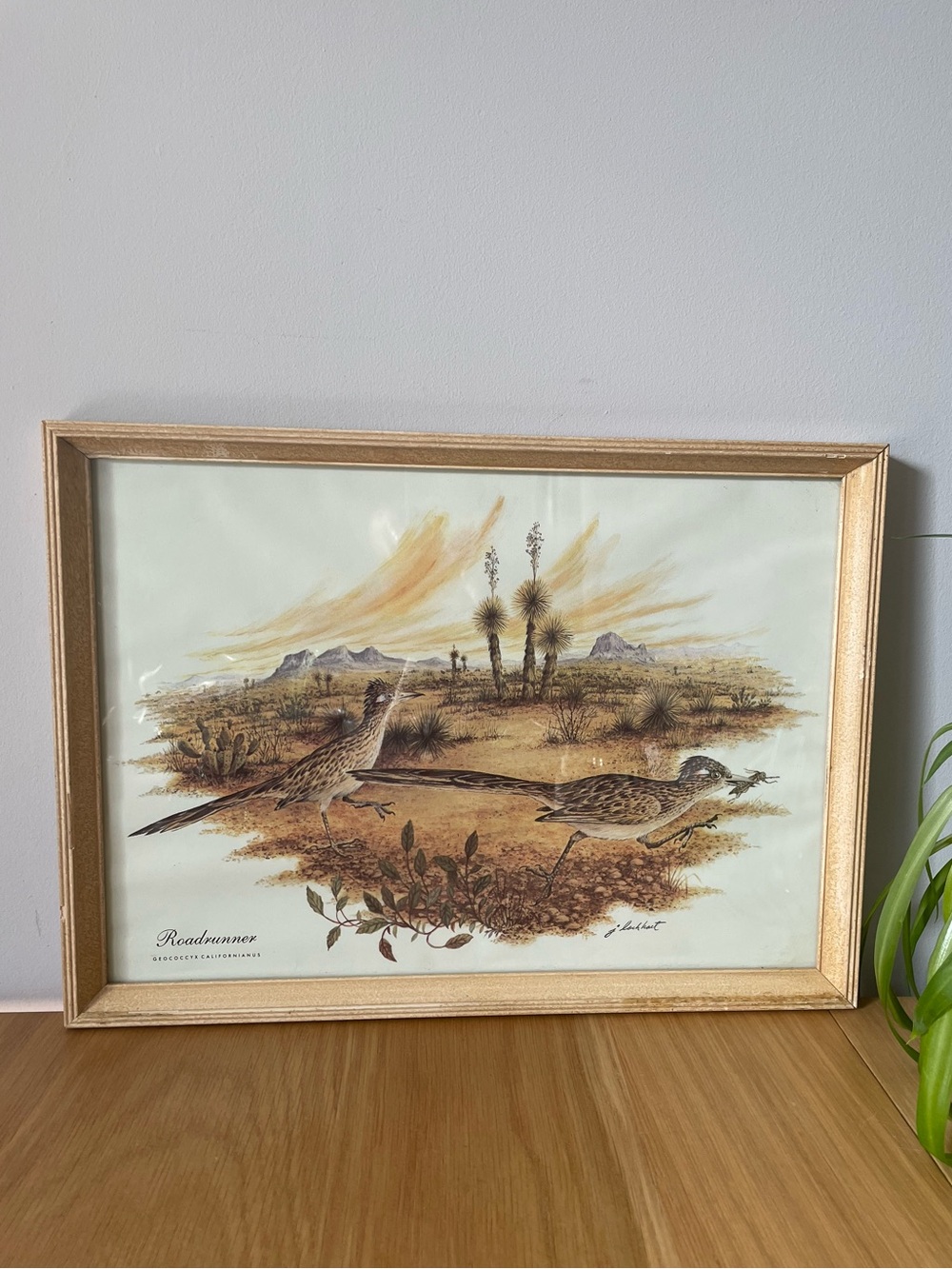 Vintage MCM James Lockhart Roadrunner Desert Bird Framed Print Wood Frame 10x14